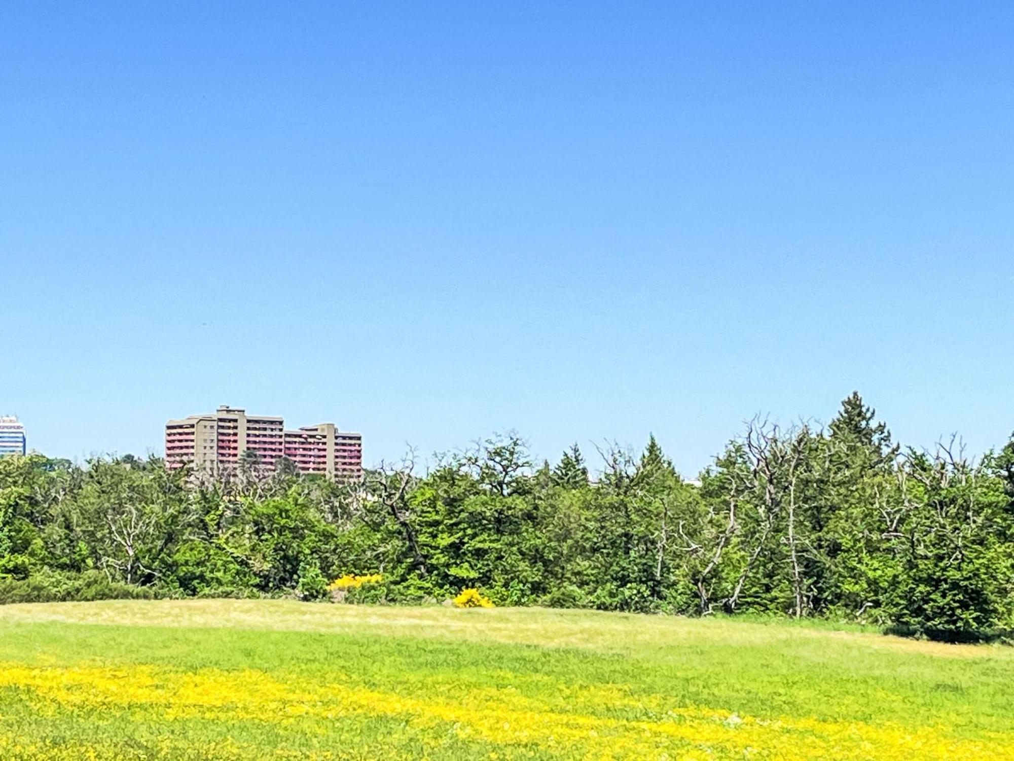 Apartment A707 By Interhome ラーンシュタイン エクステリア 写真